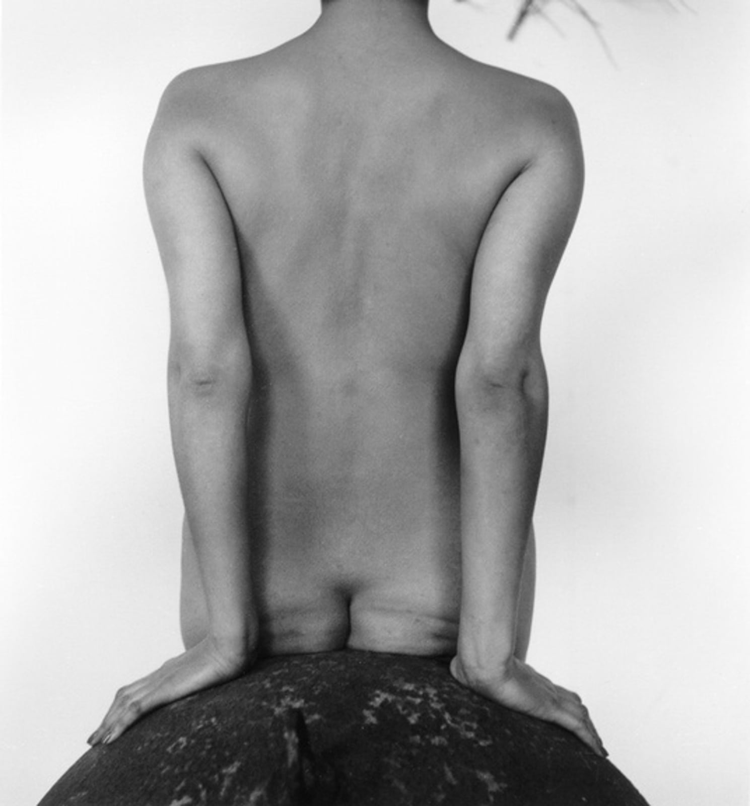 Imogen Cunningham, Nude 2, 1956