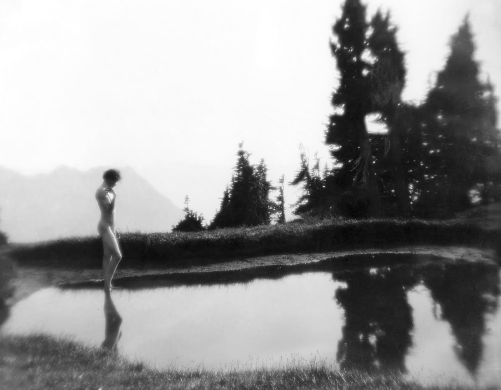 Imogen Cunningham, On Mount Rainier 9, 1915