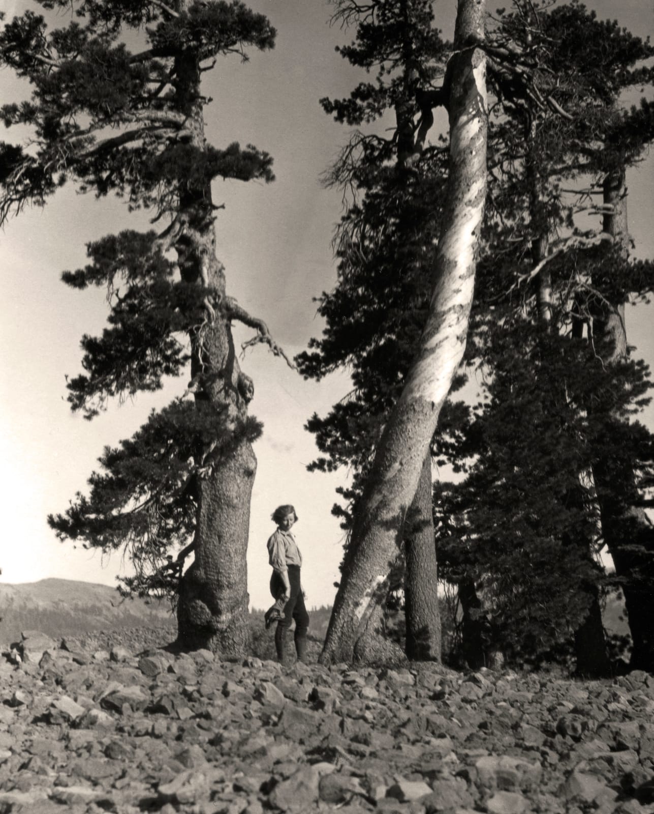 Imogen Cunningham, Portfolio "Family"