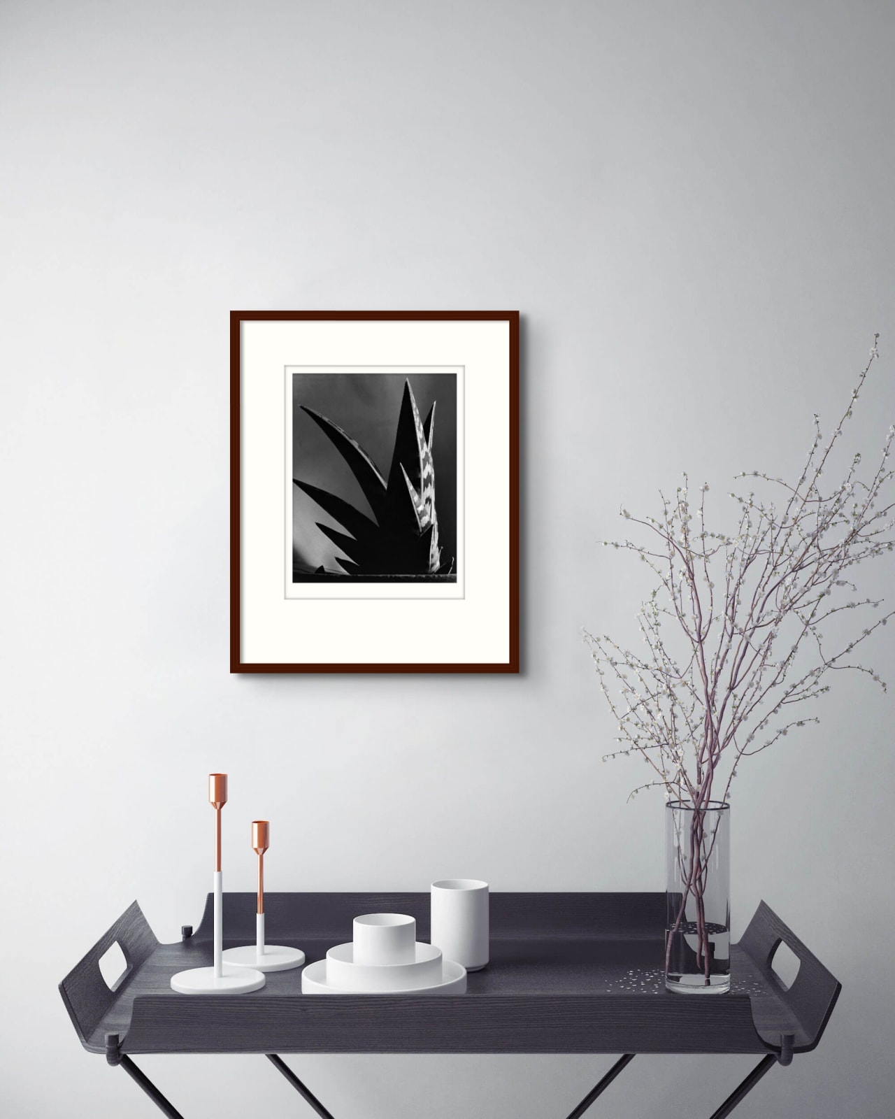 Imogen Cunningham, Aloe, 1925