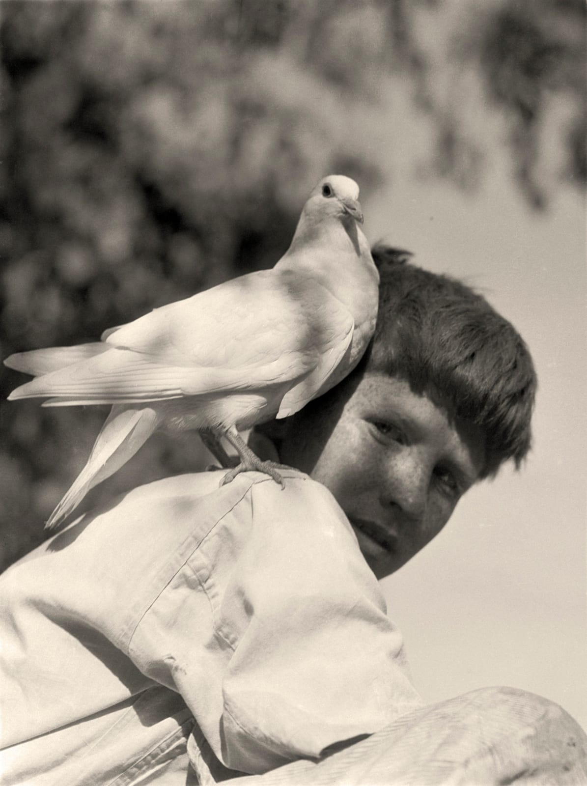 Imogen Cunningham, Portfolio "Family"
