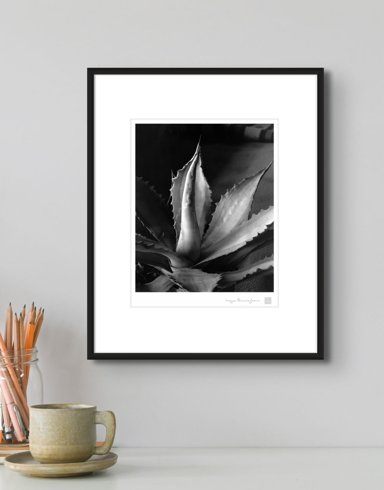 Imogen Cunningham, Agave, about 1930