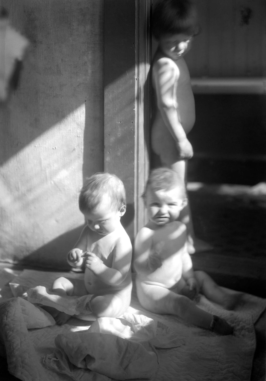 Imogen Cunningham, Ron, Pad and Gryff, 1919
