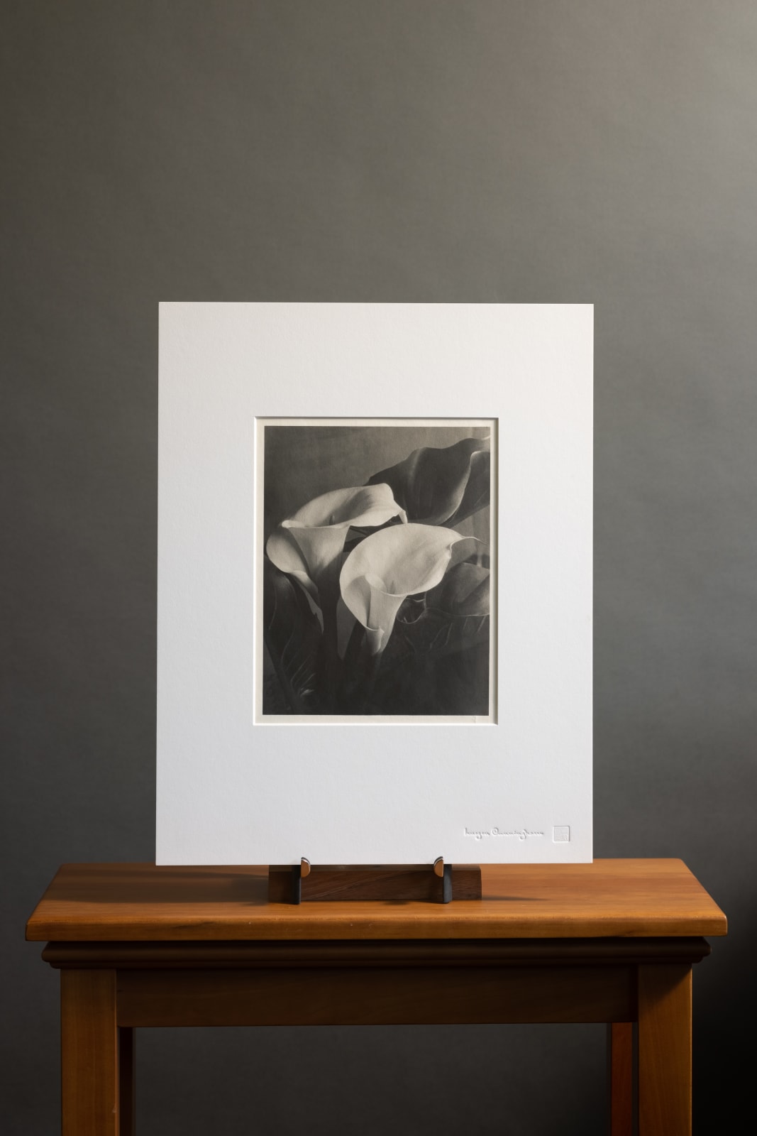 Imogen Cunningham, Two Callas 2, late 1920s