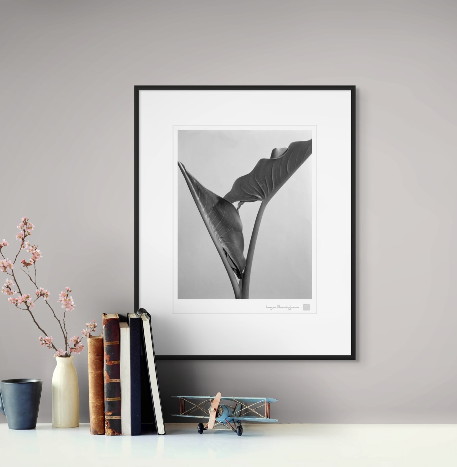 Imogen Cunningham, Calla Leaves, about 1930