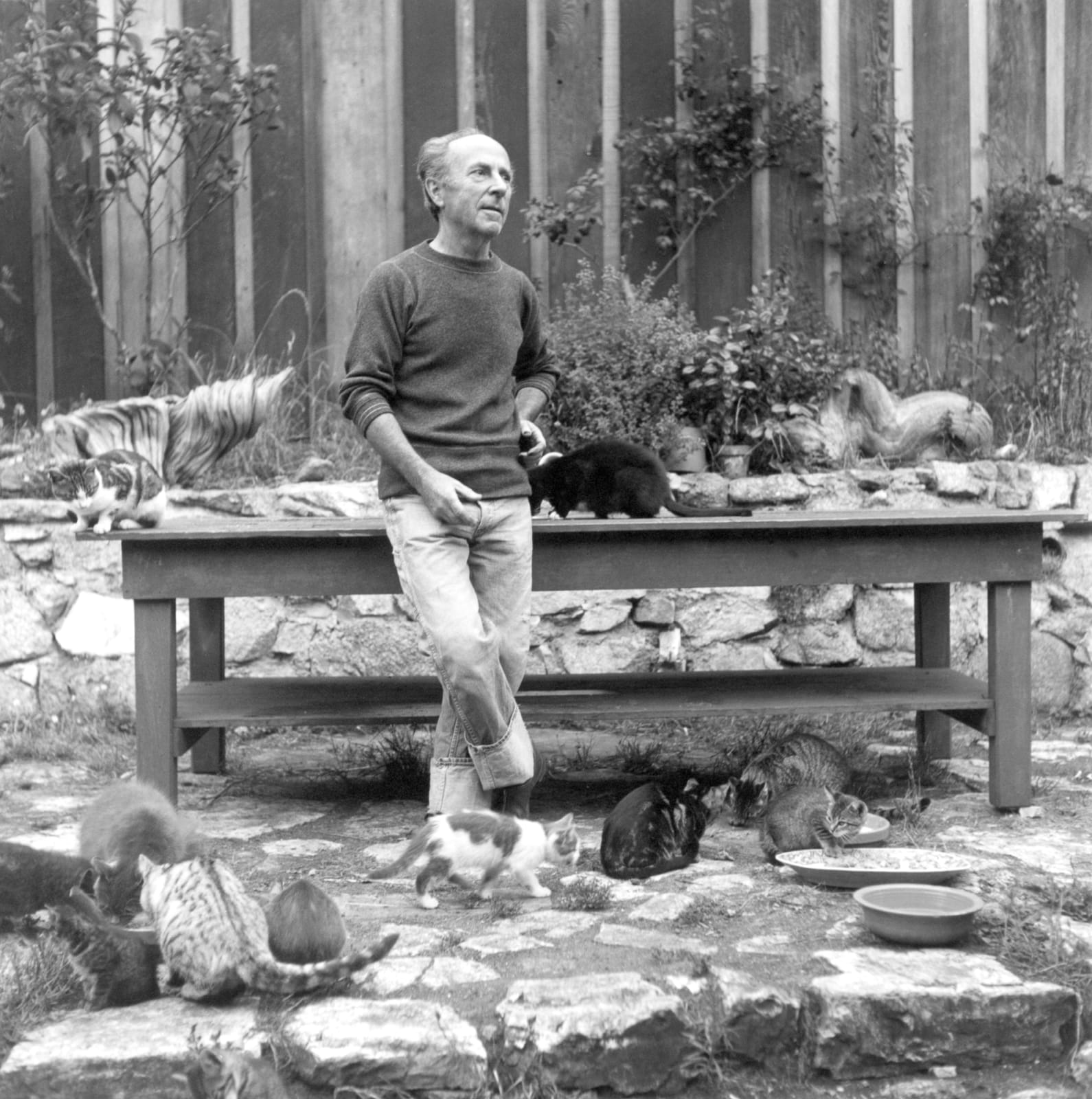 Imogen Cunningham, Edward Weston, Photographer, with His Cats, 1945