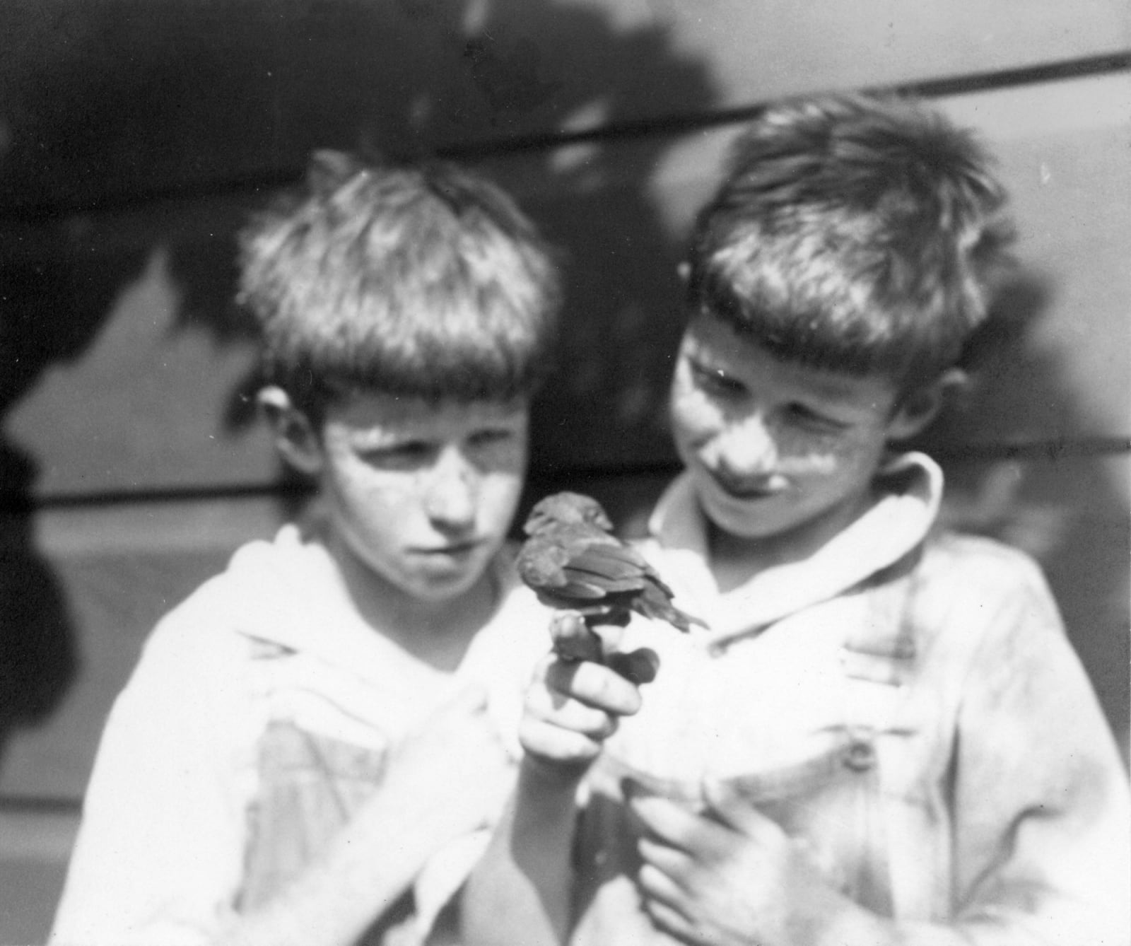 Imogen Cunningham, Ron and Pad with Robin, 1925
