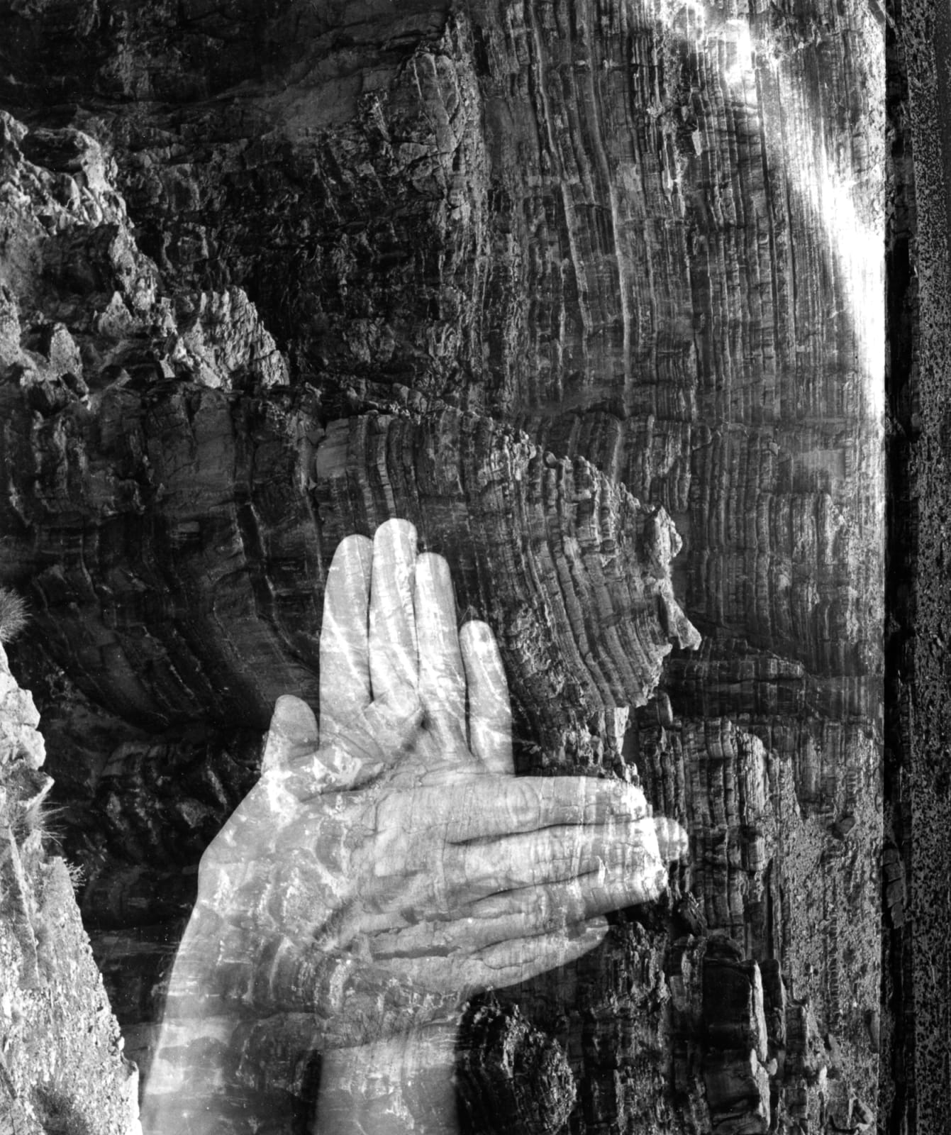 Imogen Cunningham, Self Portrait, 1972