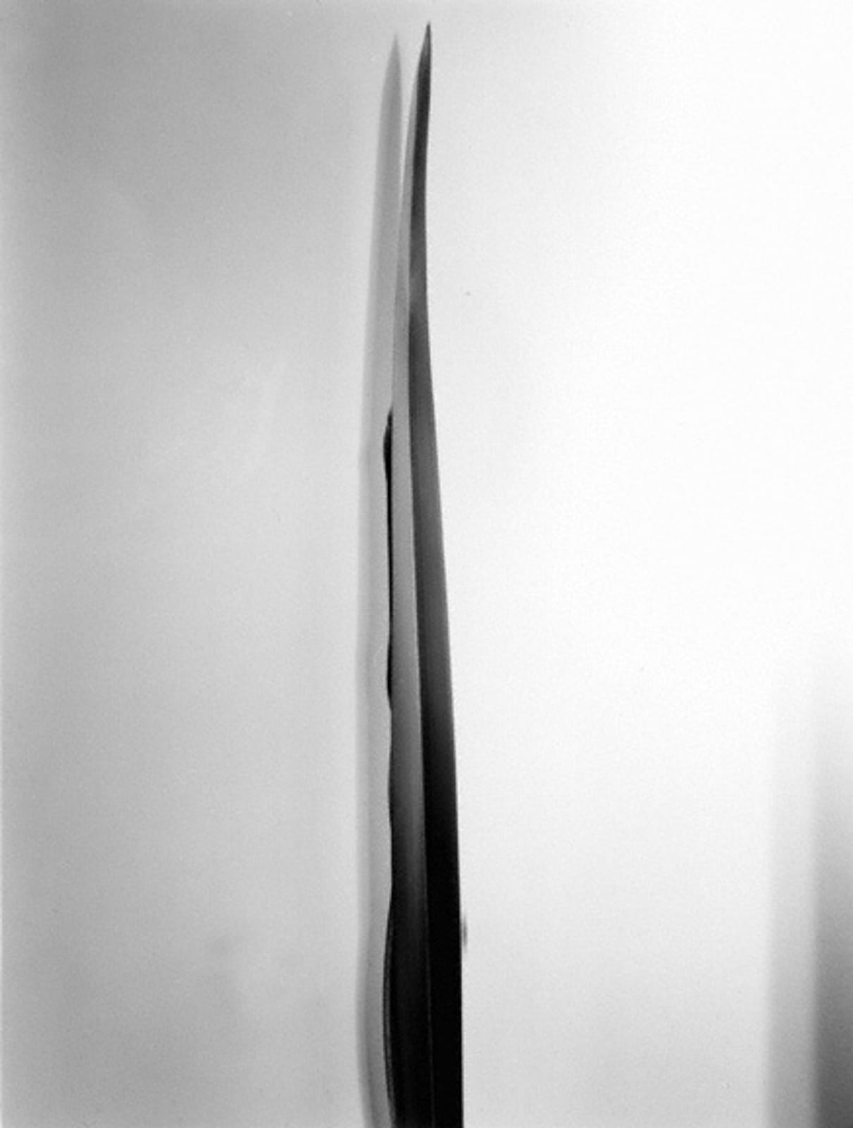 Imogen Cunningham, Flax, 1920s