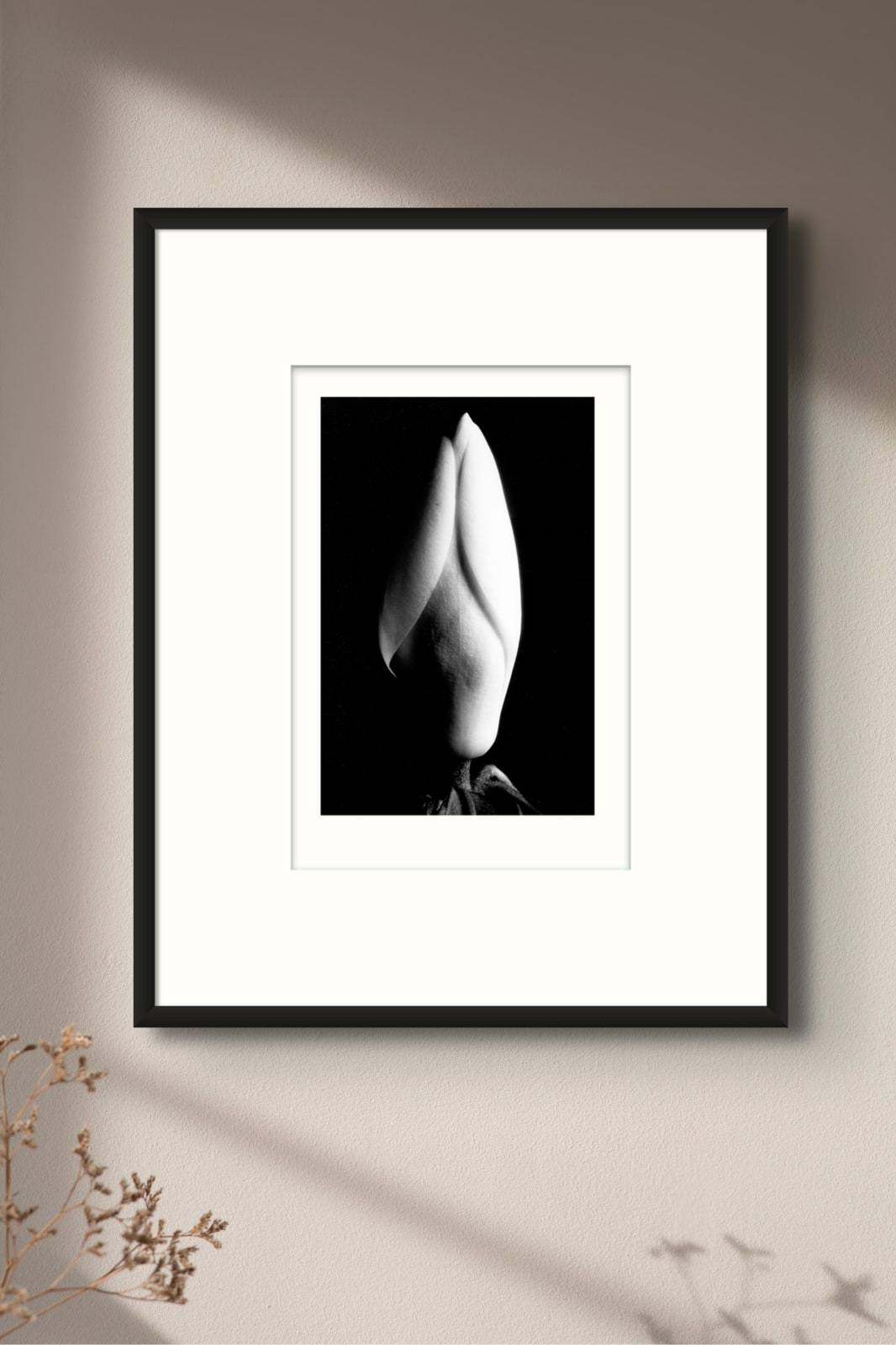 Imogen Cunningham, Magnolia Bud, 1920s