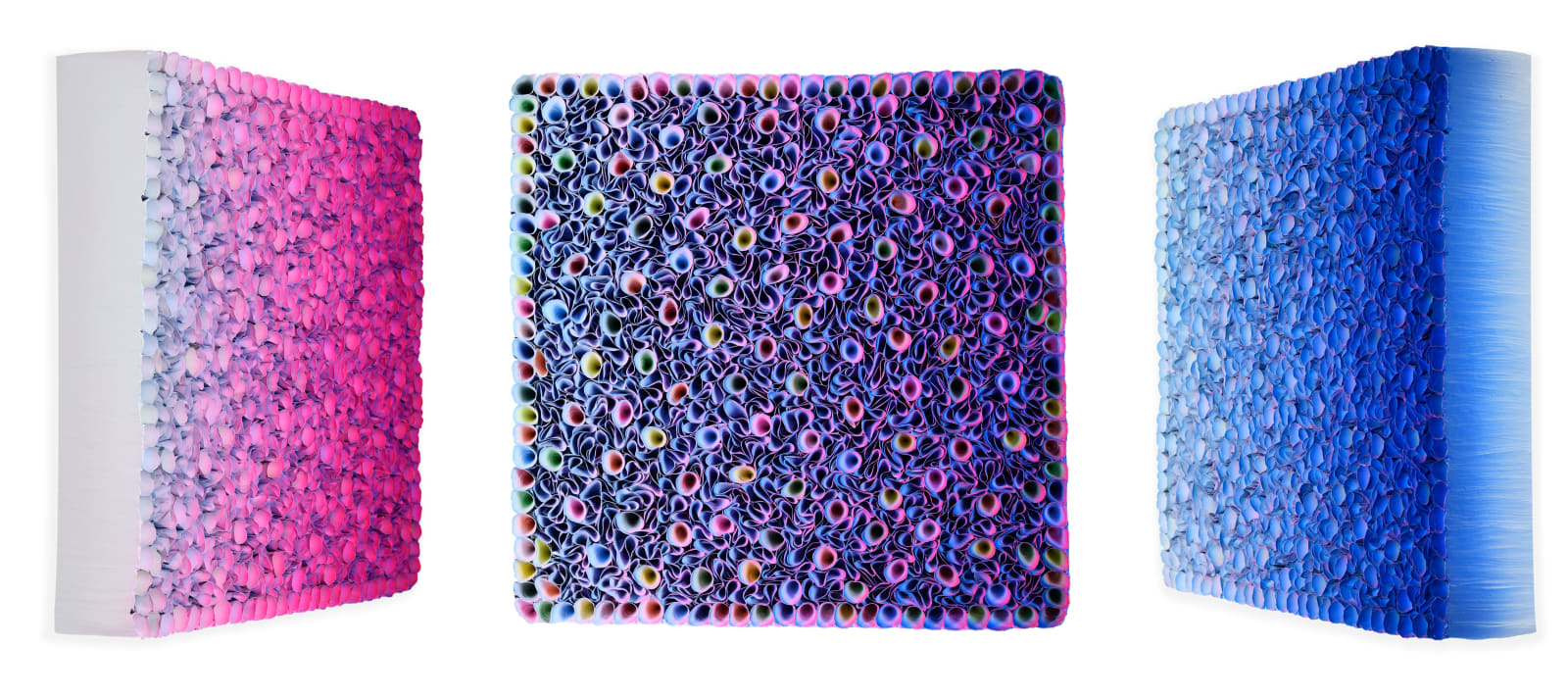 Zhuang Hong-yi, Bright Day, 2024