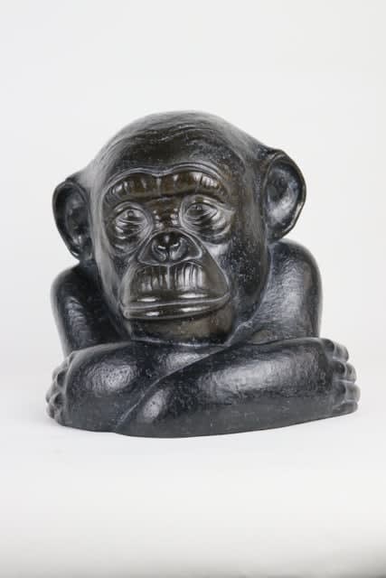 Florence Jacquesson, Portrait de chimpanzé, Ed 6/8, 2009