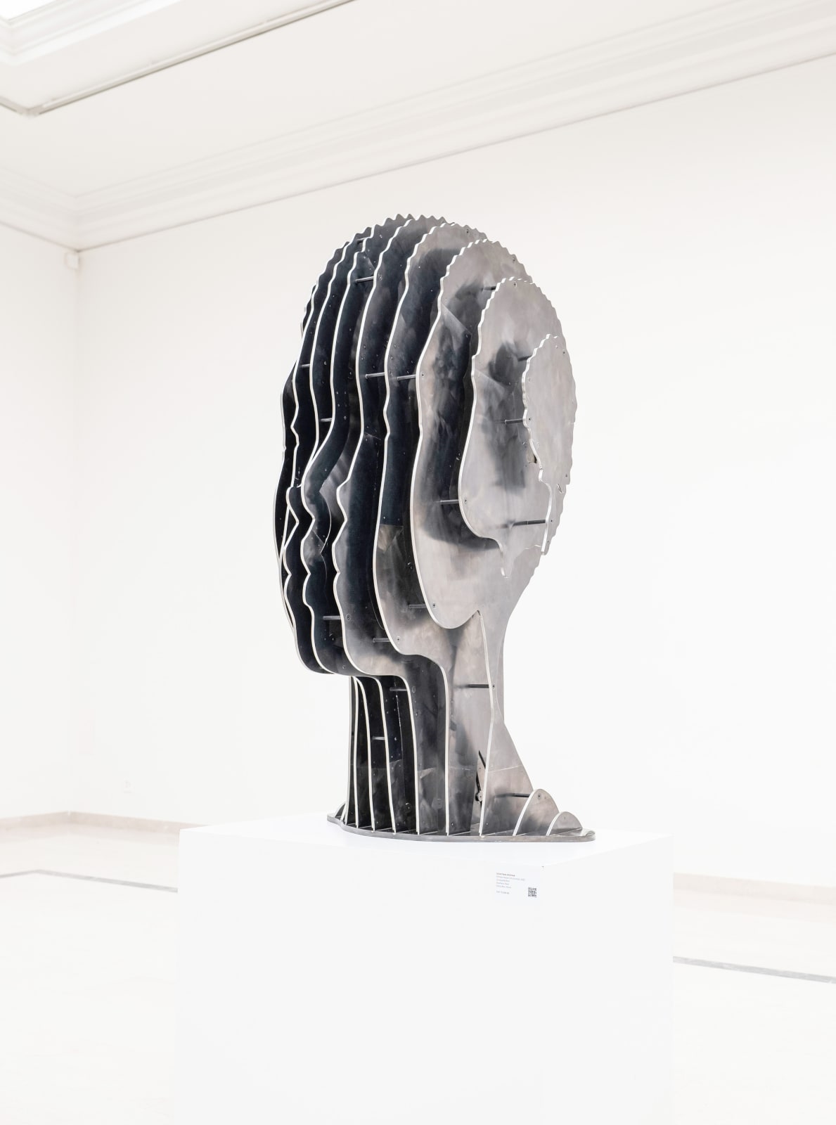 Julian Voss-Andreae, Female Head Constructed, 2022