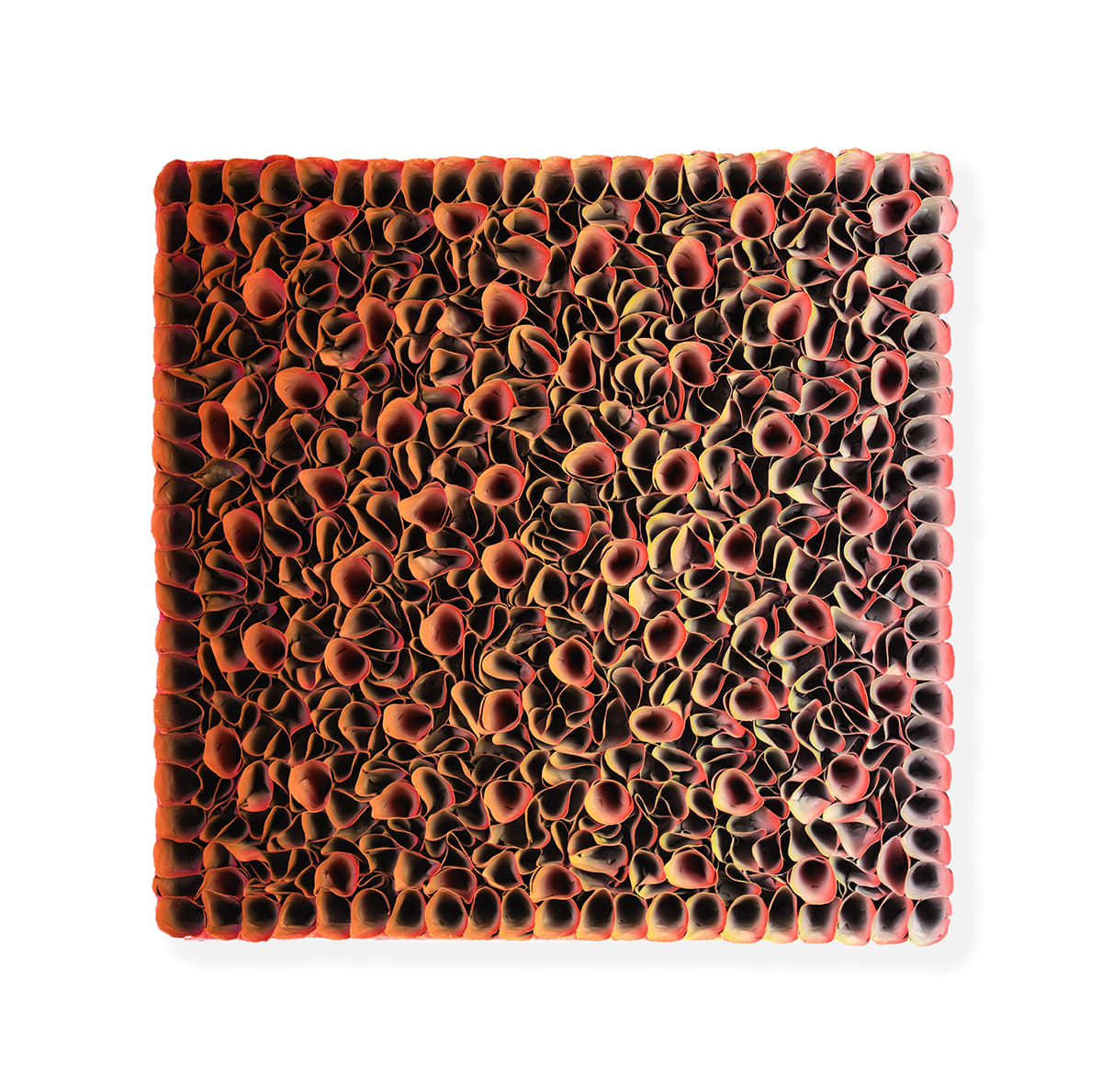 Zhuang Hong-yi, Autumn