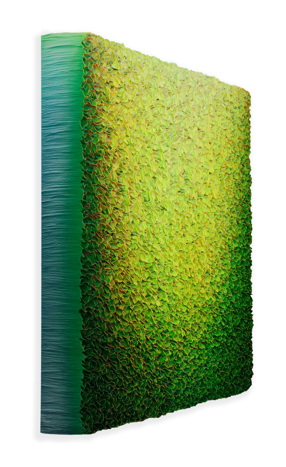 Zhuang Hong-yi, Rise, 2024