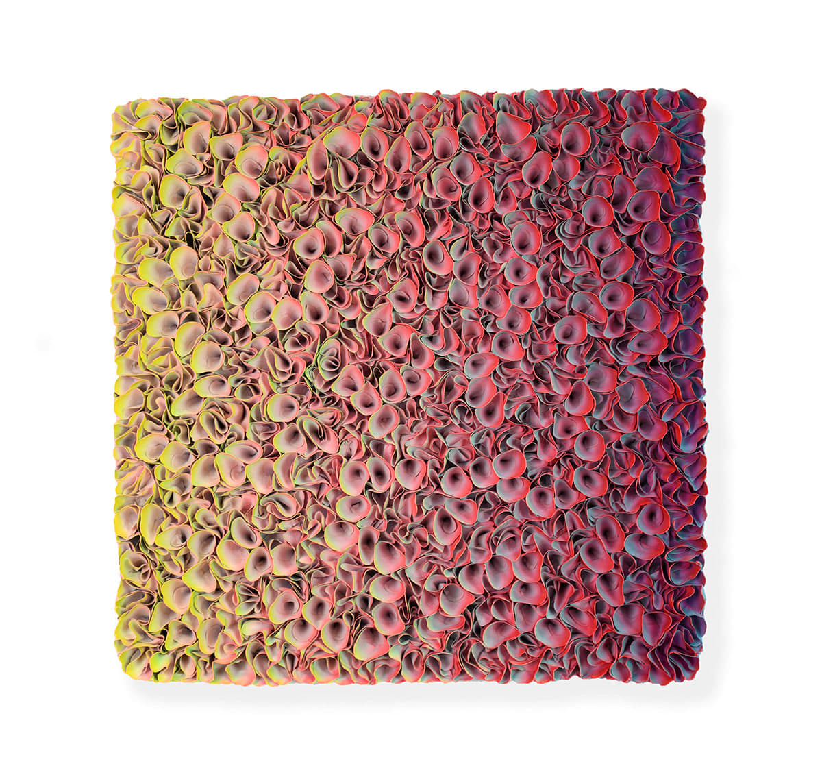 Zhuang Hong-yi, Lavenda, 2021