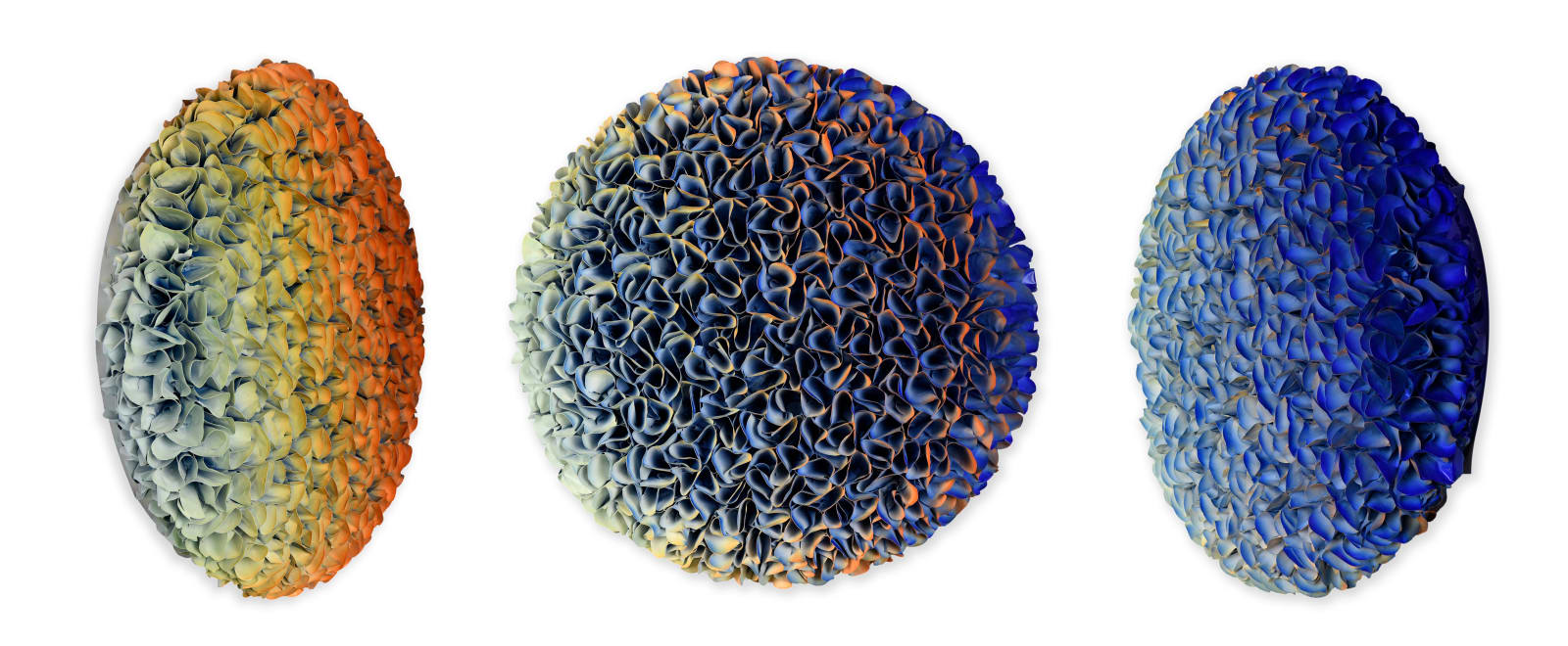 Zhuang Hong-yi, ZHY-B32284, 2022