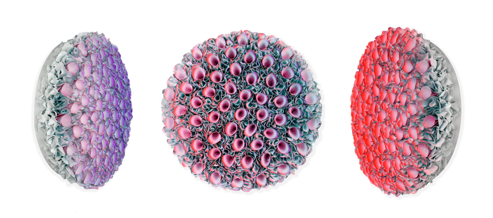 Zhuang Hong-yi, Bloomy Romance, 2022