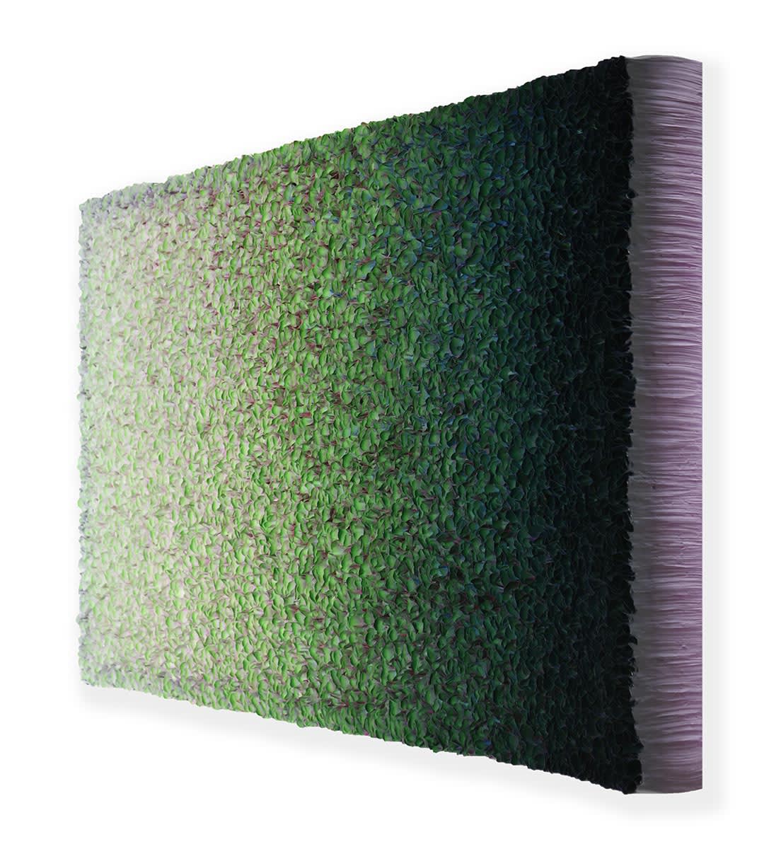 Zhuang Hong-yi, Evening Dawn