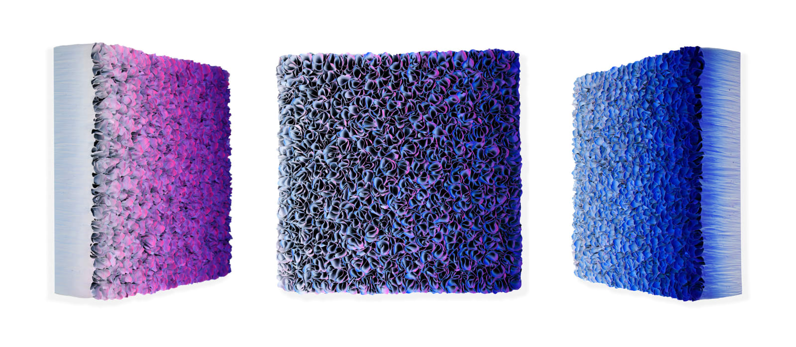 Zhuang Hong-yi, Expansion