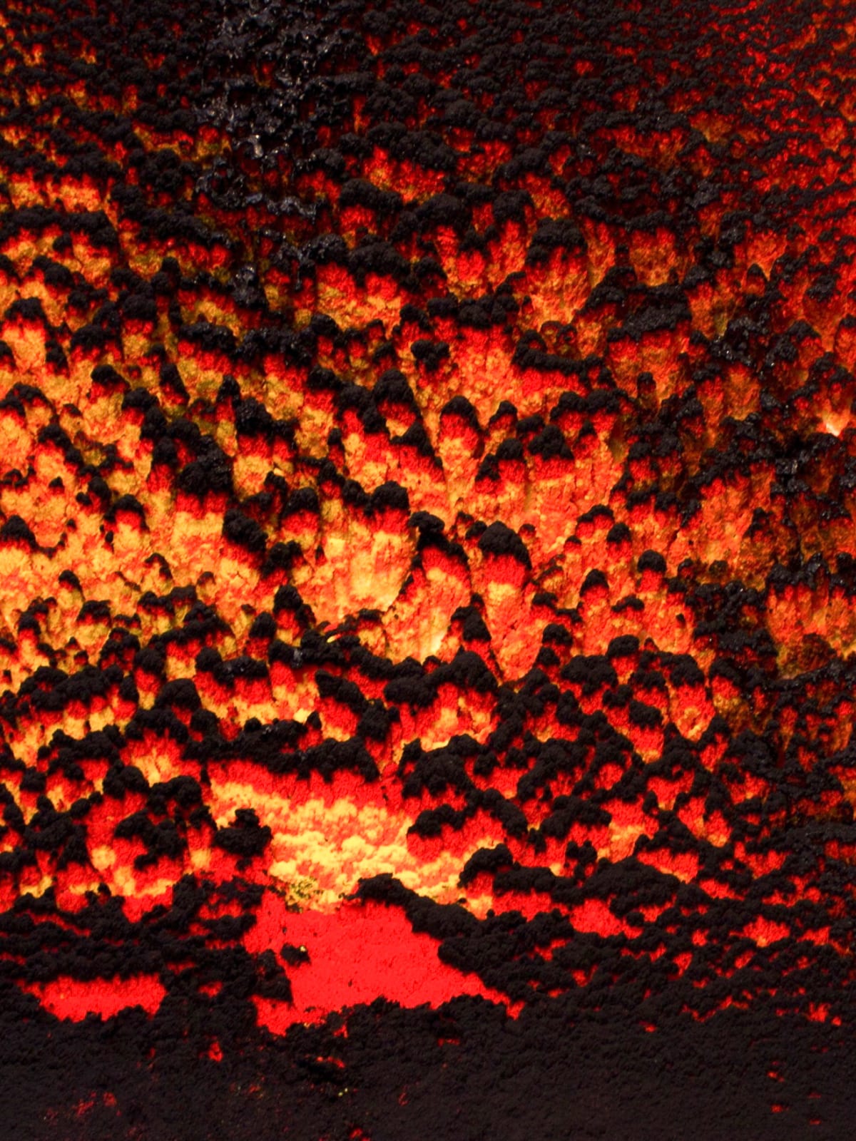 Dylan Gebbia-Richards, Dust to Dust, 2019