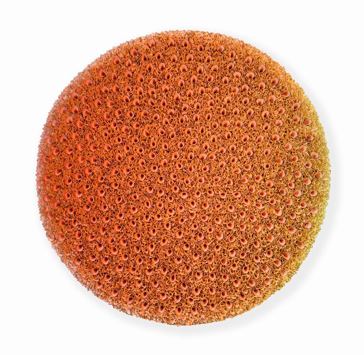 Zhuang Hong-yi, Cherry Sunset