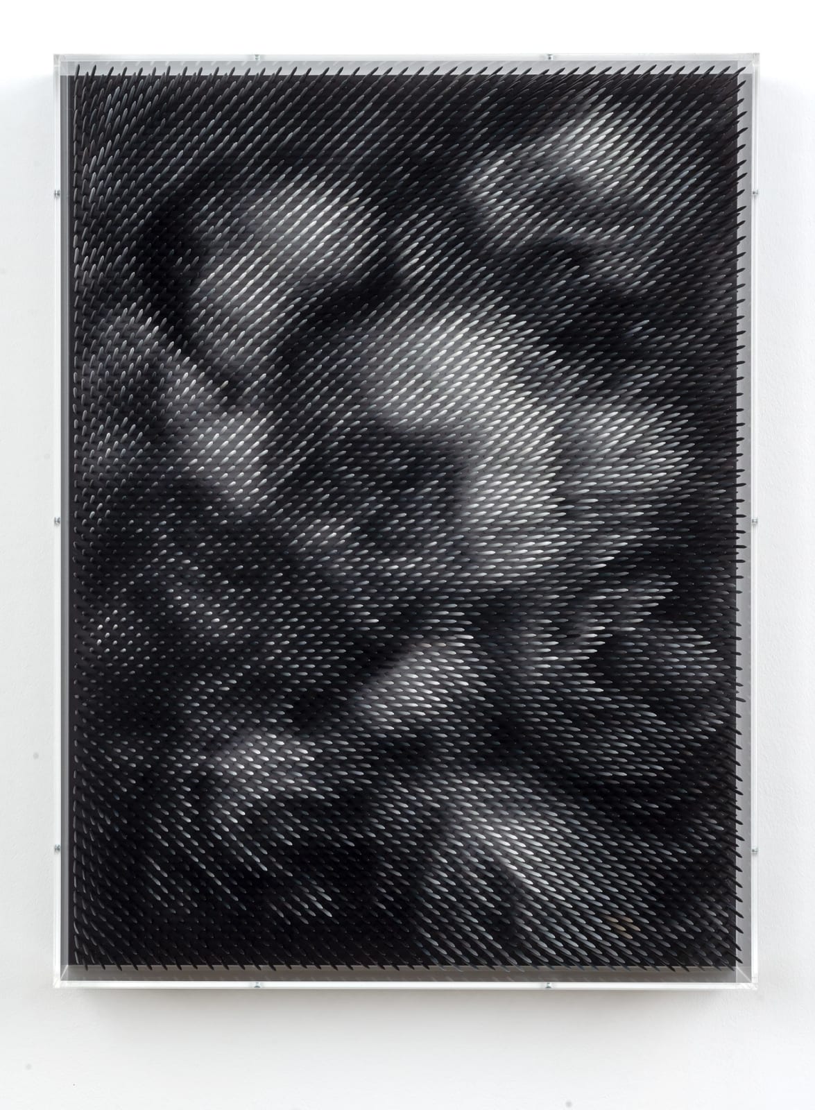 Maxim Wakultschik, Black Peonies, 2020