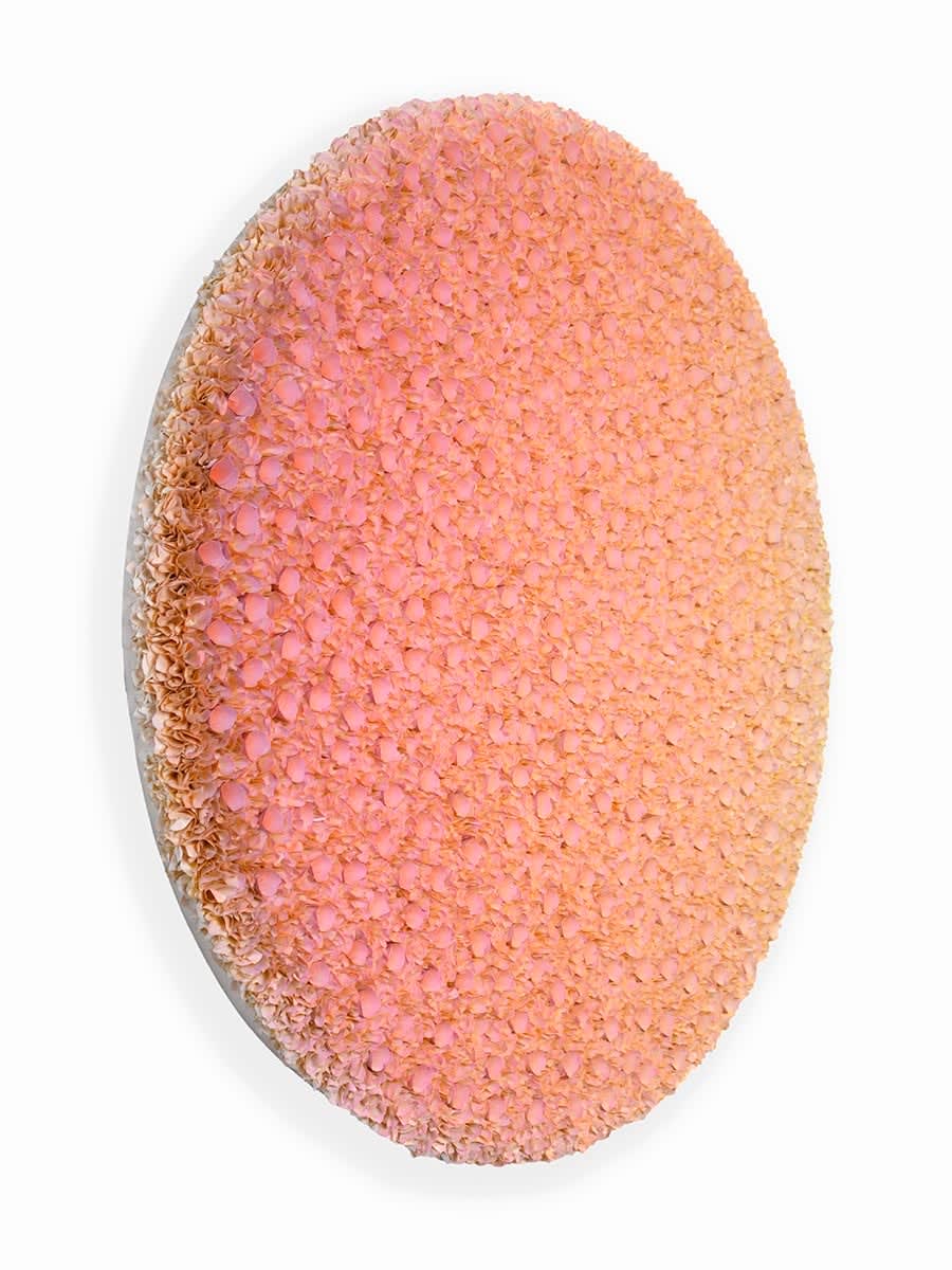 Zhuang Hong-yi, Cherry Sunset