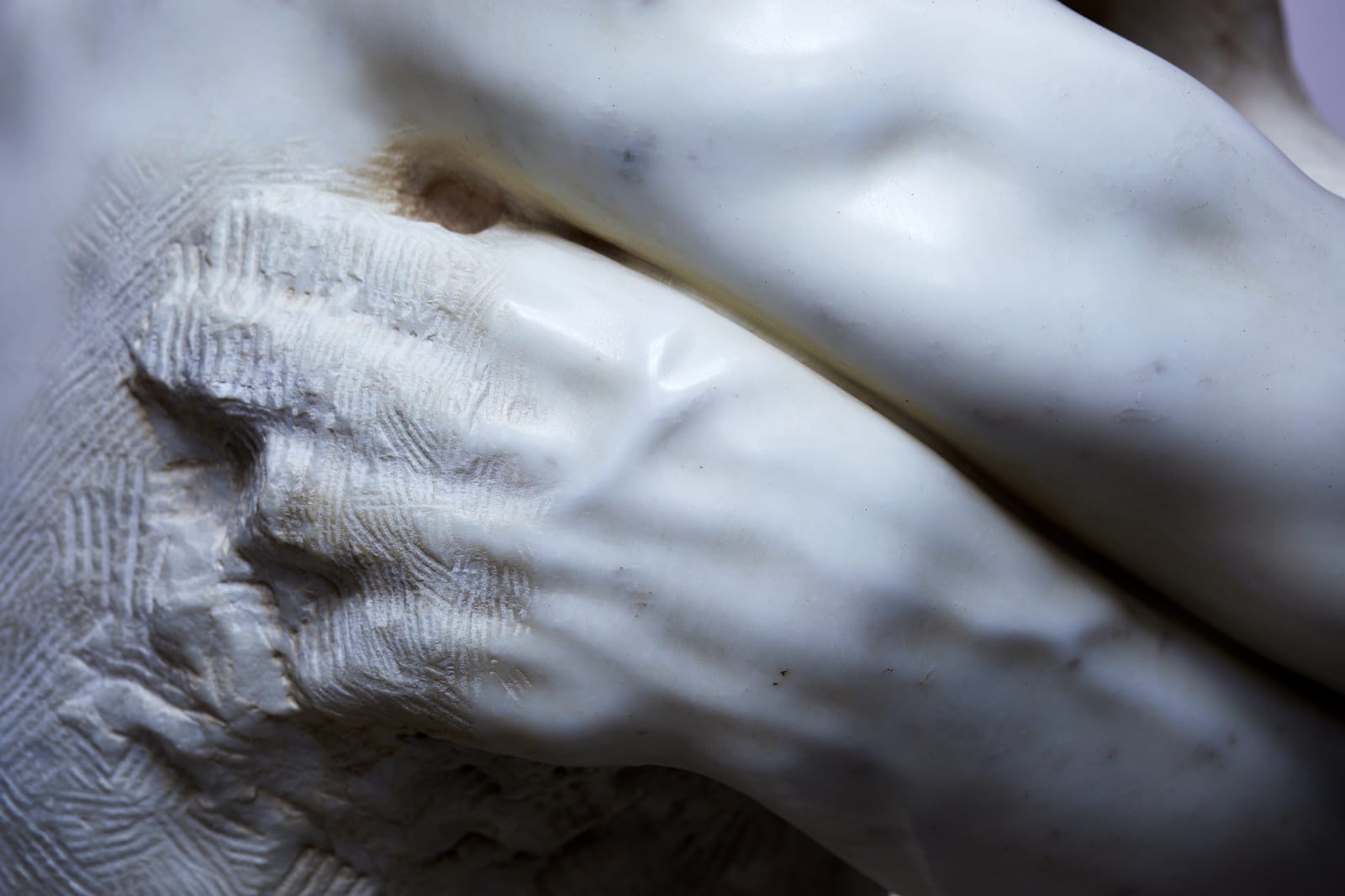 Christian Bolt, Adoro, 2021 / 2022