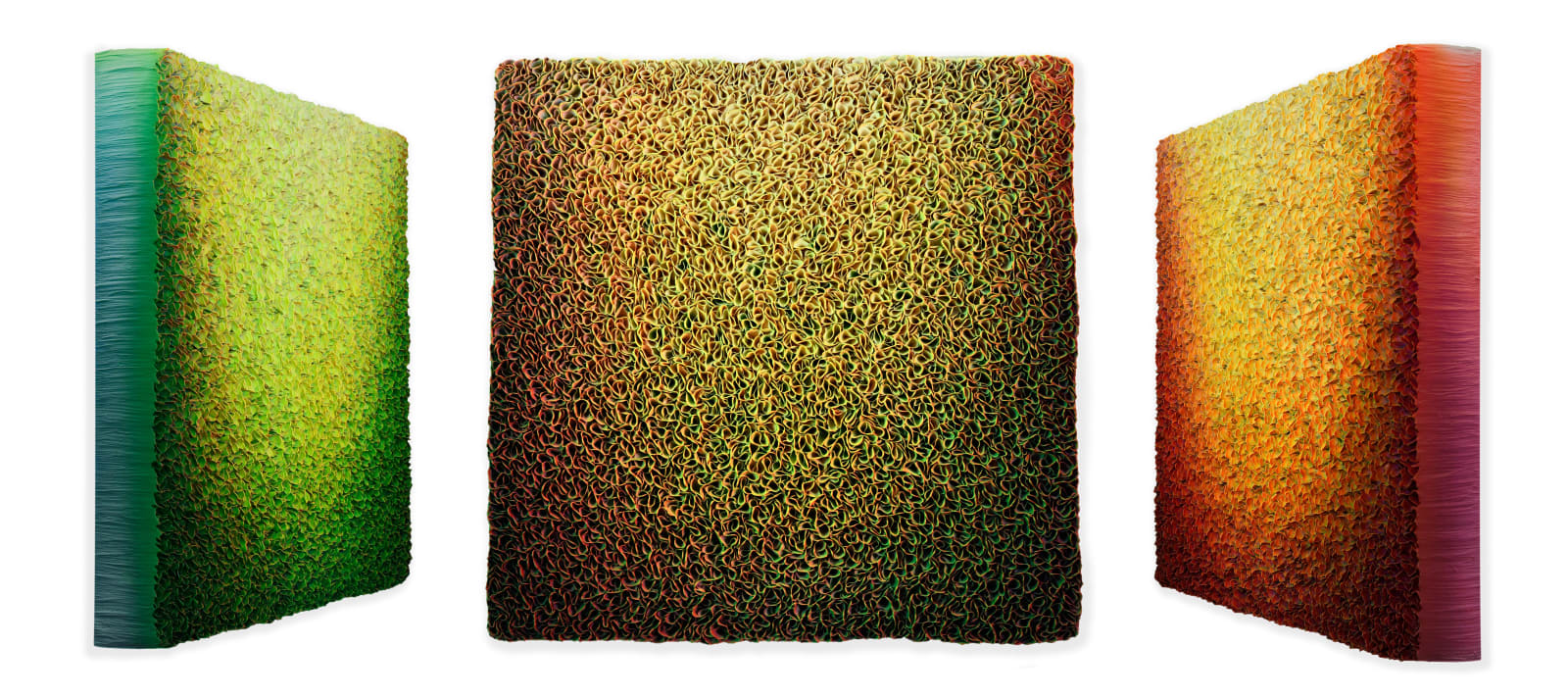 Zhuang Hong-yi, Rise, 2024