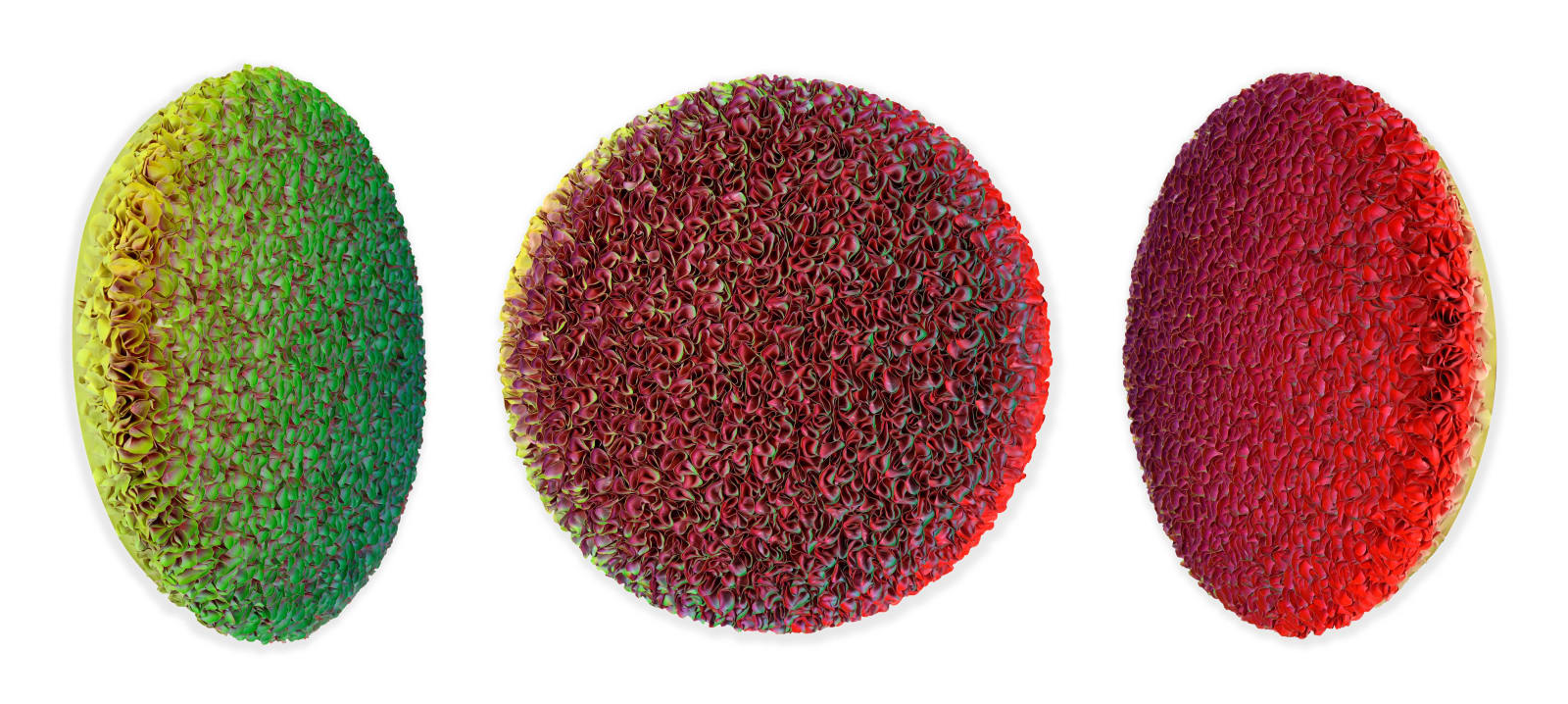 Zhuang Hong-yi, Feeling of Fall, 2023