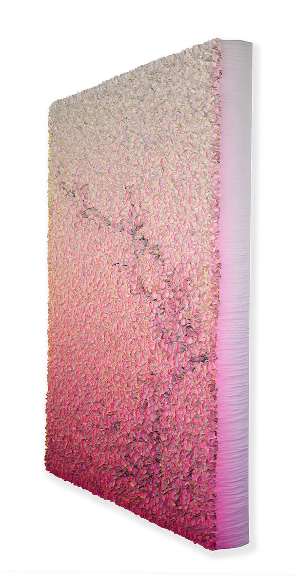 Zhuang Hong-yi, Royal Blossom