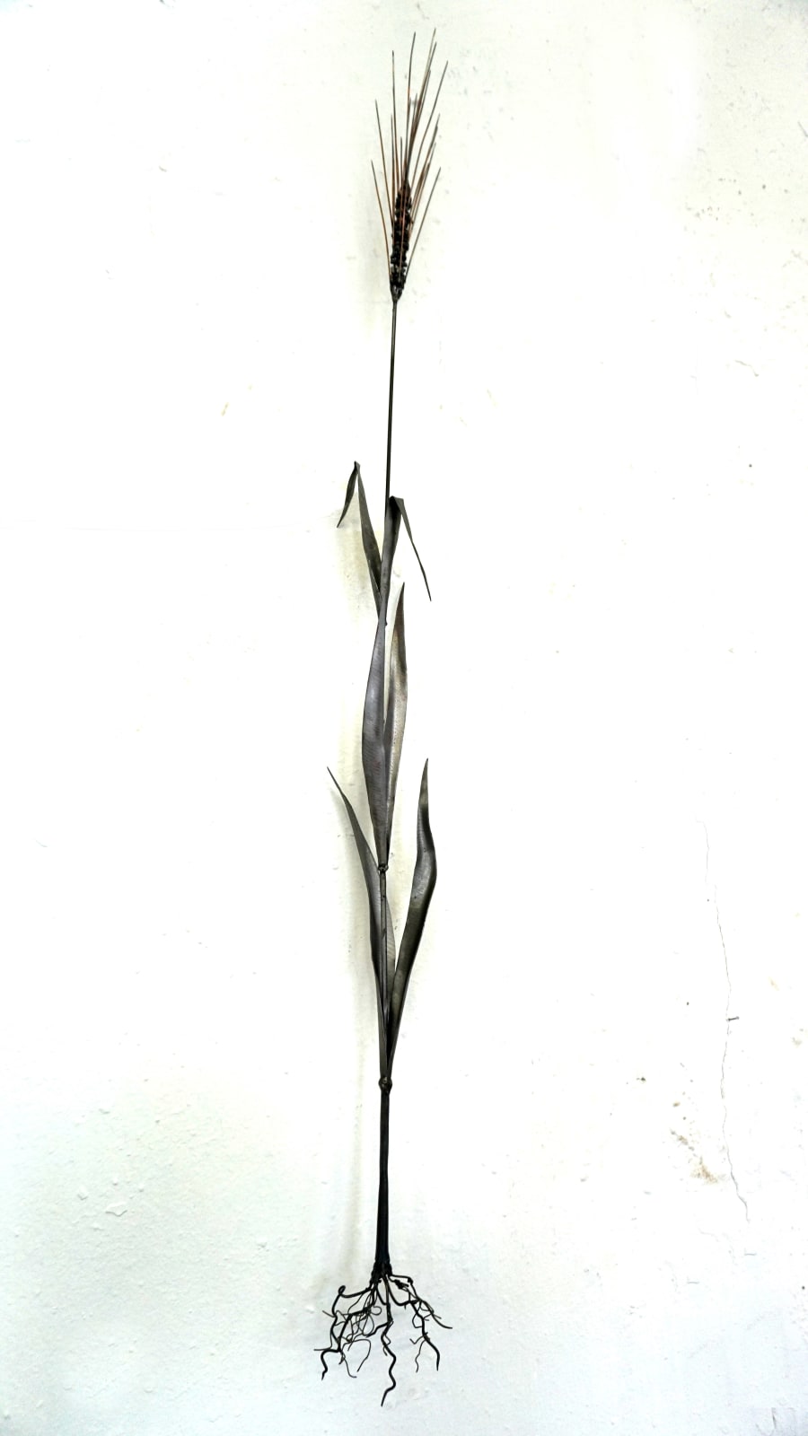 Dmitry Bulnygin, Rye, from the series "Winter Herbarium", 2025