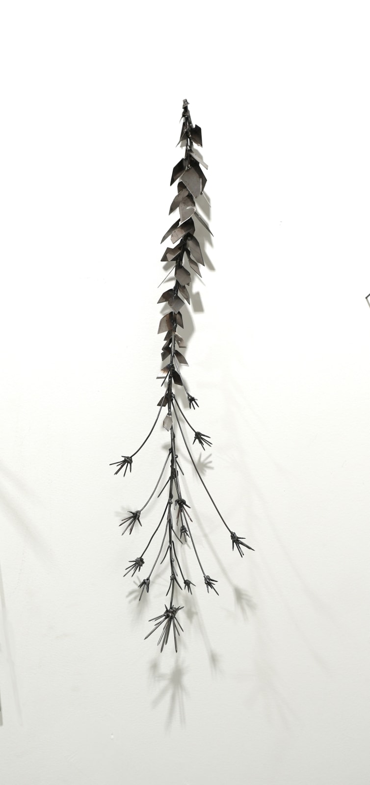 Dmitry Bulnygin, Unknown, from the series "Winter Herbarium", 2025