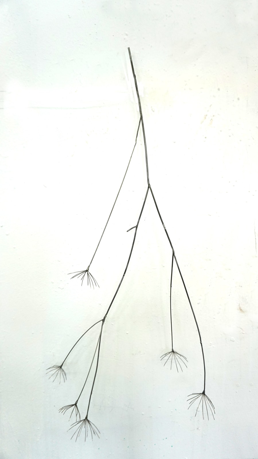 Dmitry Bulnygin, Common goutweed, from the series "Metal plants", 2025