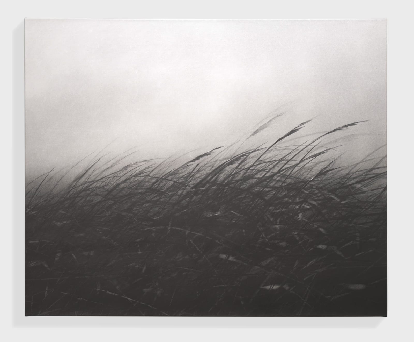 Danja Akulin, Untitled, 2023