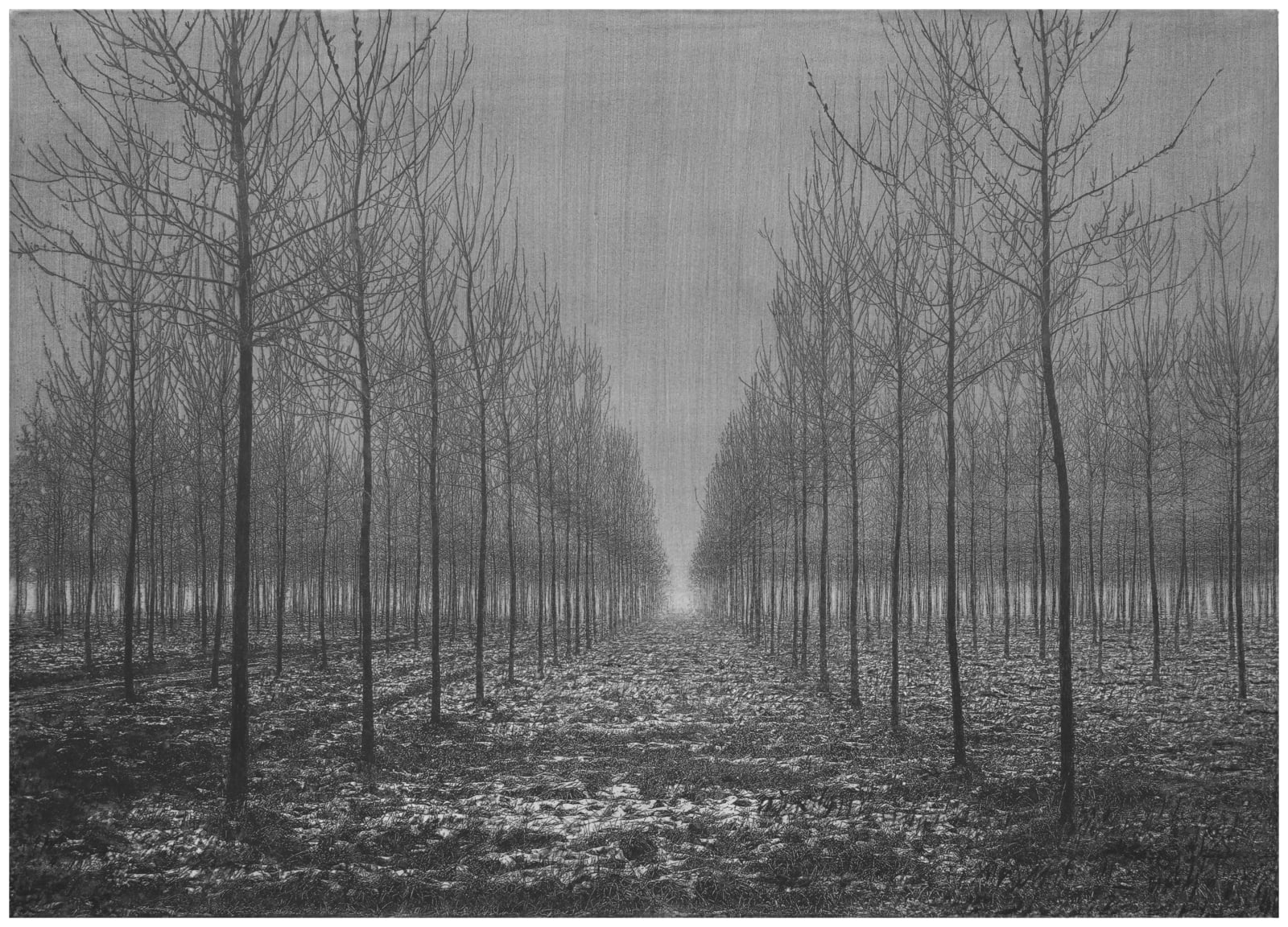 Danja Akulin, Untitled, 2024