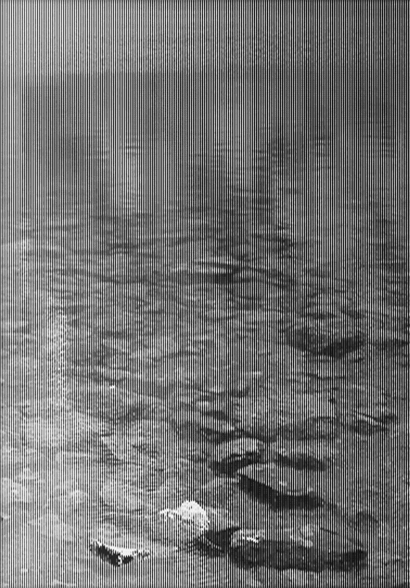 Thomas Andrea Barbey, Lago Negro, 2019