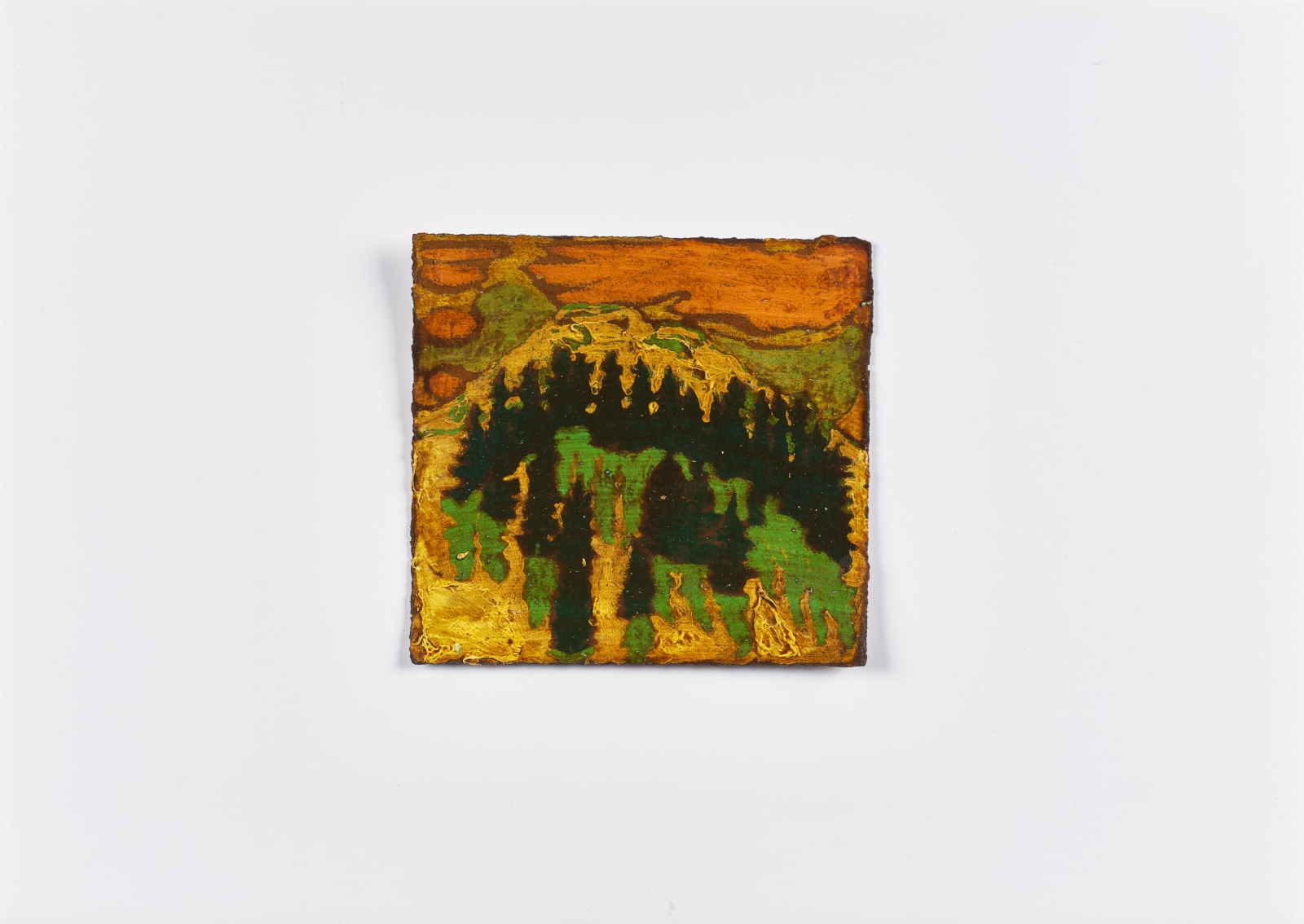 Catherine Ross, Spruces, 2023