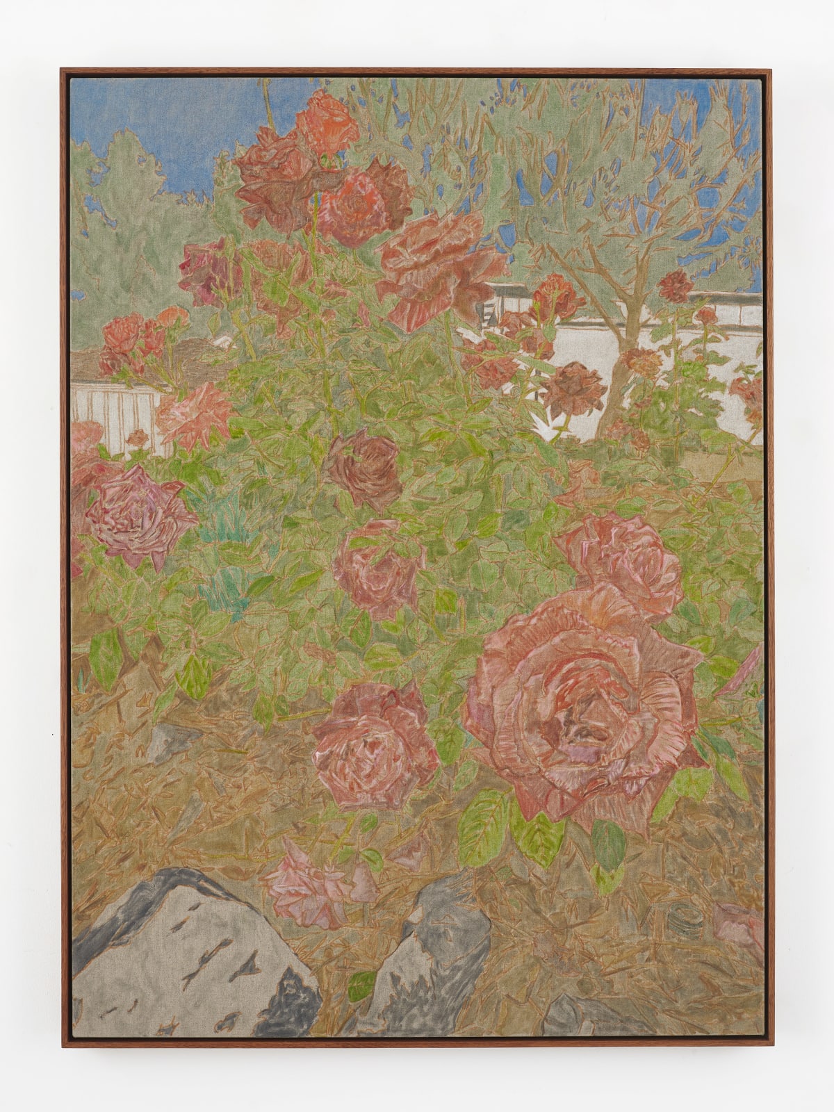 Hayley Barker, Tiger Roses, 2025