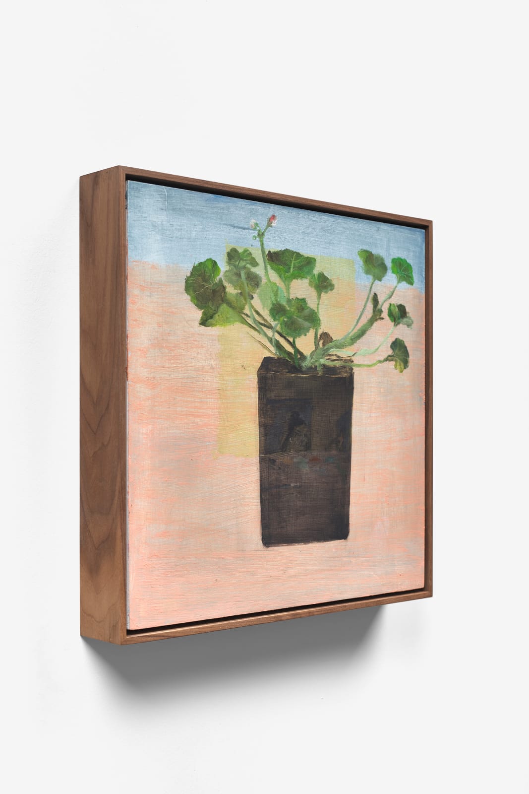 Aubrey Levinthal, Geranium on Palette Table, 2025