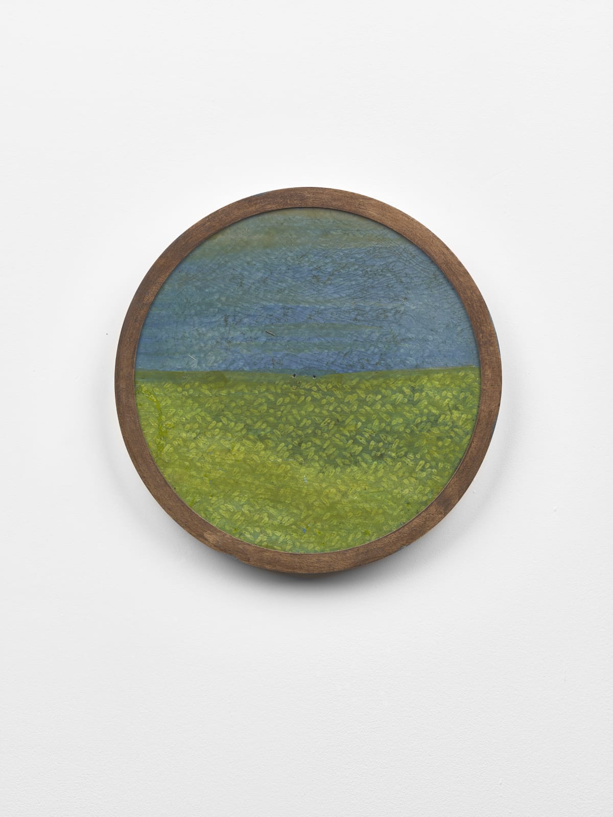 Frank Walter, Untitled (Dark blue sky over green field)