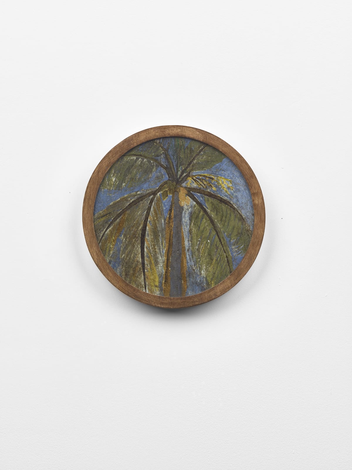 Frank Walter, Untitled (Palm Tree)