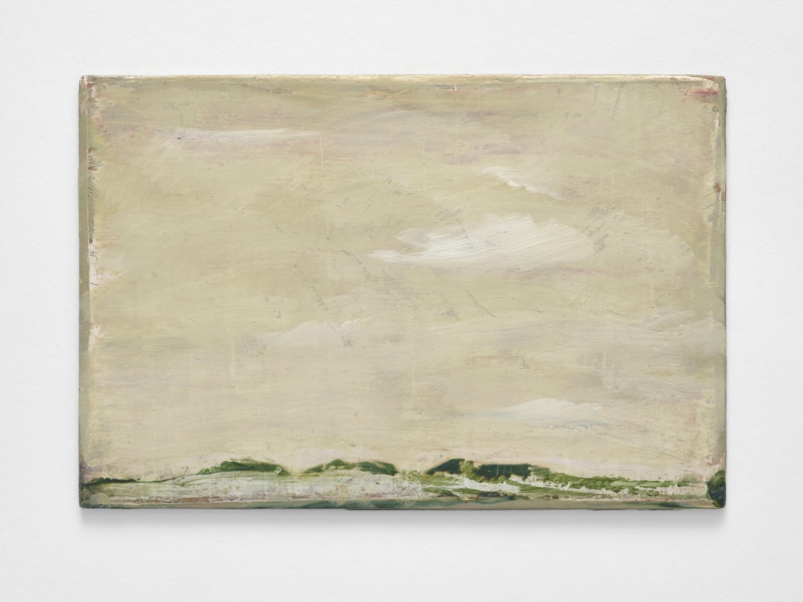 Craig Murray-Orr, Land 16, 2019-2020