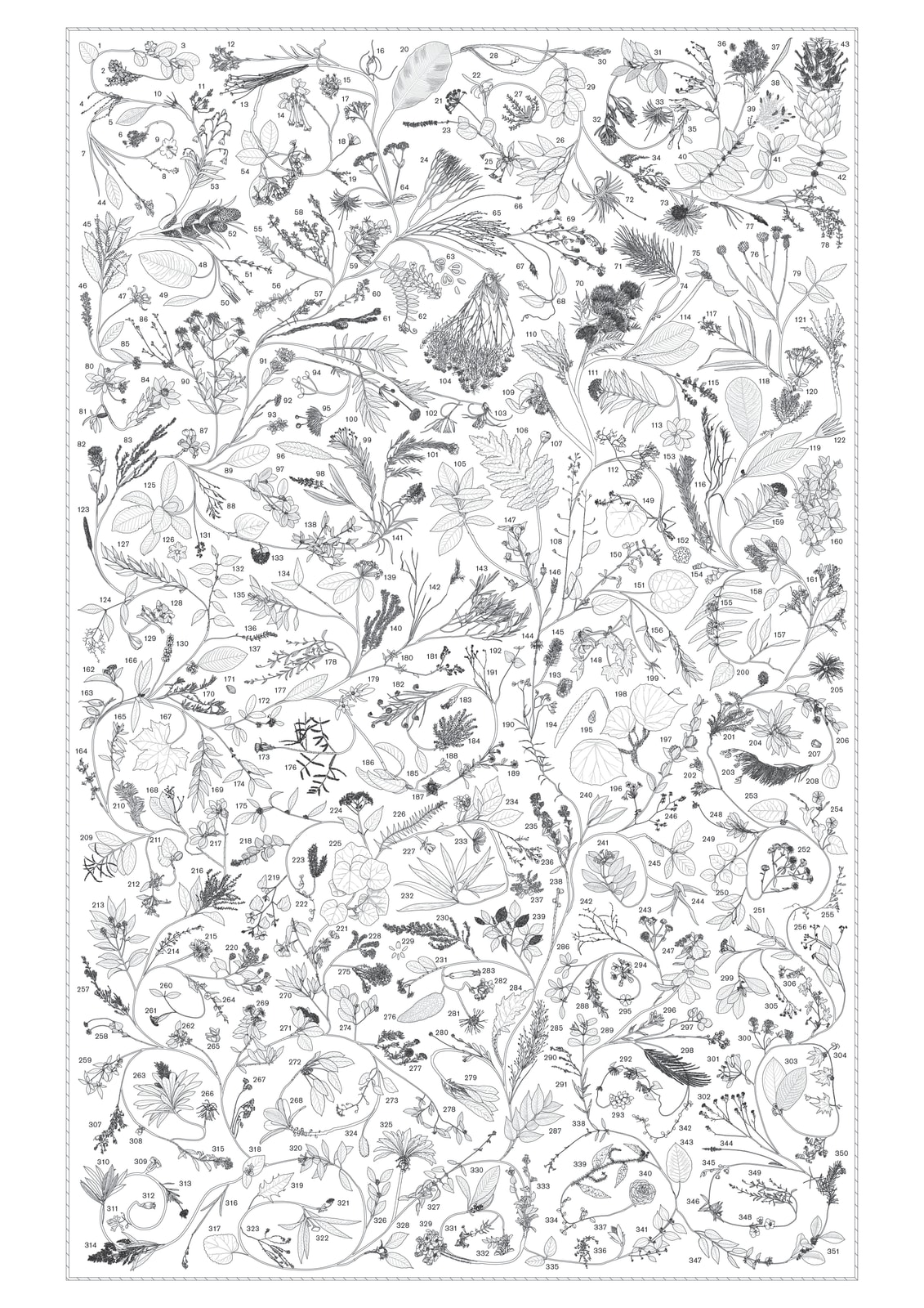 Katie Paterson, Evergreen, 2022