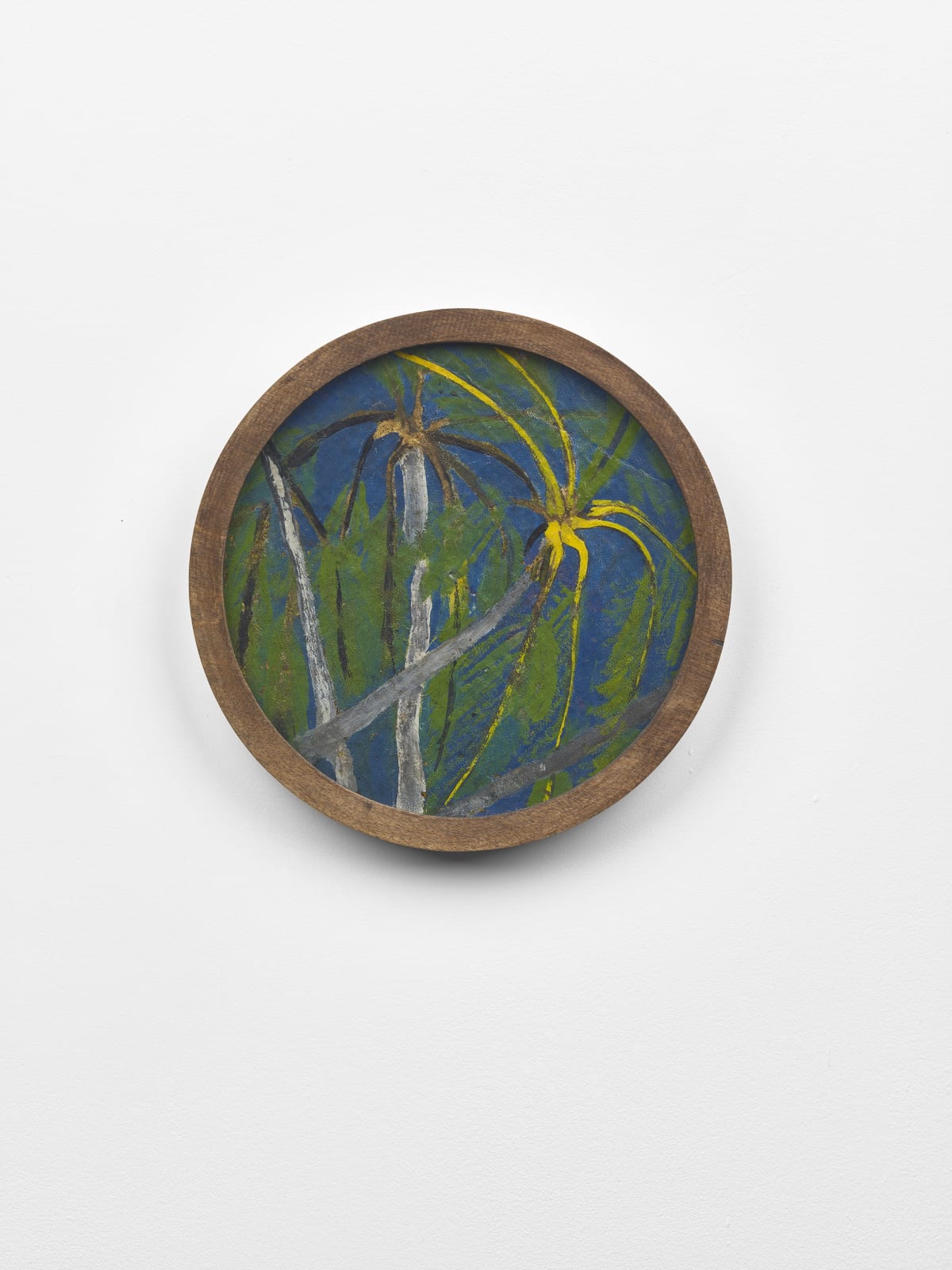 Frank Walter, Untitled (Top of Palms)