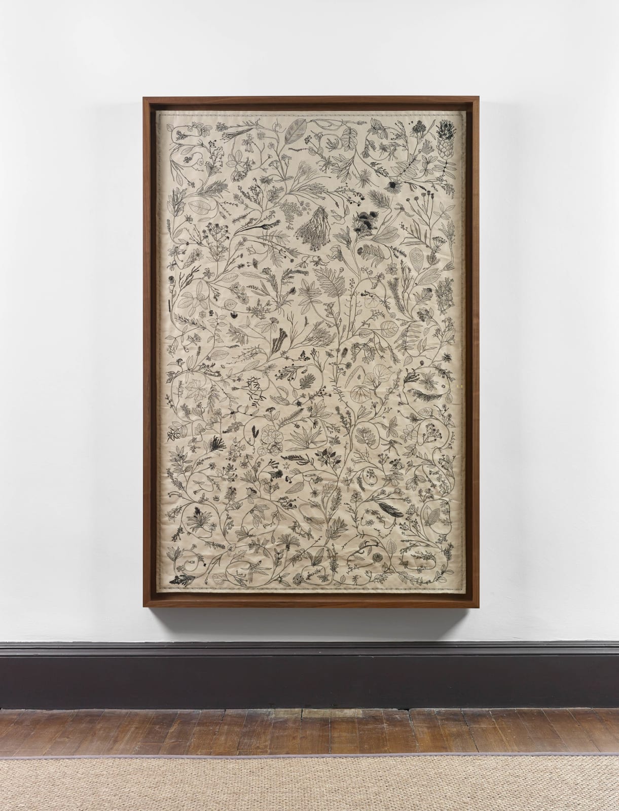 Katie Paterson, Evergreen, 2022