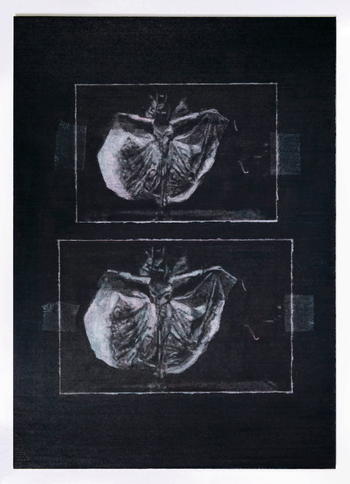 Richard Forster, Notes on Architecture: Annabel Butterfly (study), 2016-2018