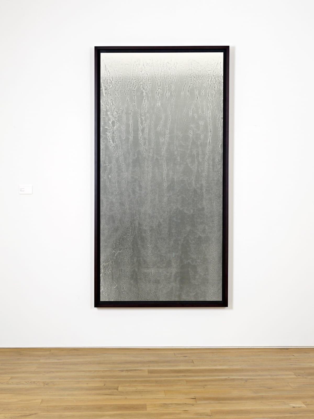 Susan Derges, Waterfall, 1998