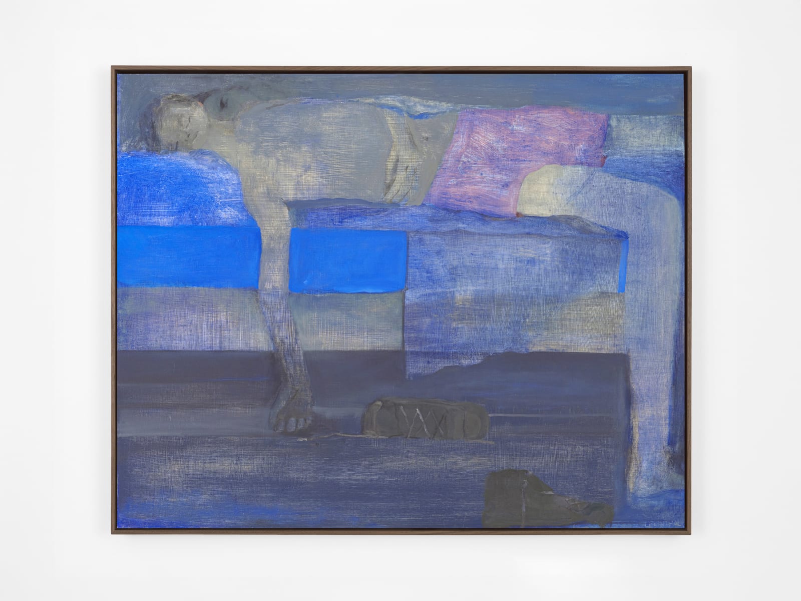 Aubrey Levinthal, Watching C. Sleep, 2025
